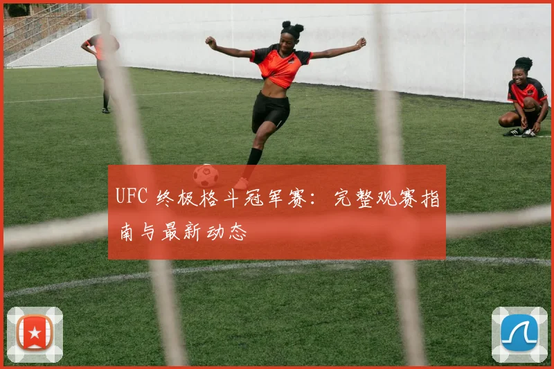 UFC 终极格斗冠军赛：完整观赛指南与最新动态