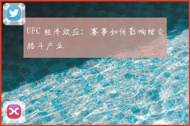 UFC 经济效应：赛事如何影响综合格斗产业