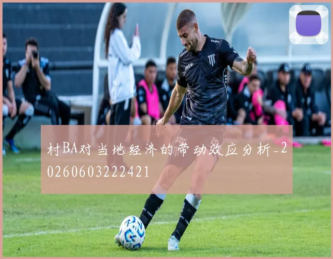 村BA对当地经济的带动效应分析_20260603222421