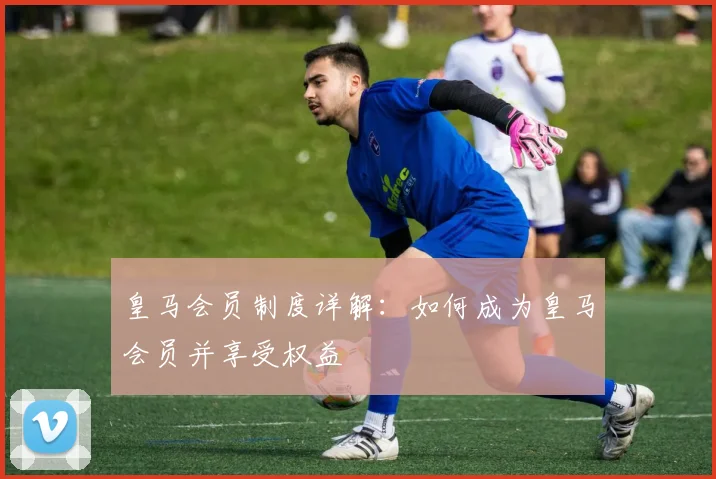 皇马会员制度详解:如何成为皇马会员并享受权益