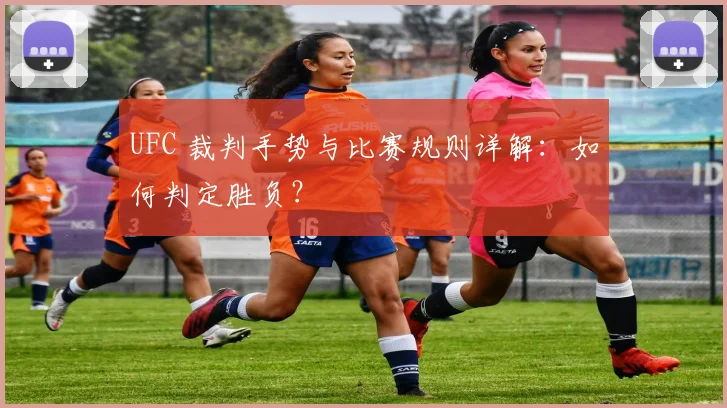 UFC 裁判手势与比赛规则详解：如何判定胜负？